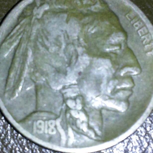 Reintroduction-And-First-Photo-Try,-My-1918/7-D-Buffalo